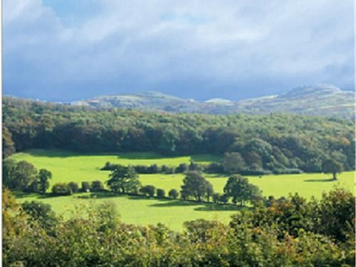 The Druid Inn Llanferres Eksteriør bilde